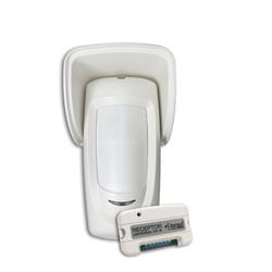 Infrarrojo inalambrico exterior GARNET IR-1000RFW c/ Receptor RX-W